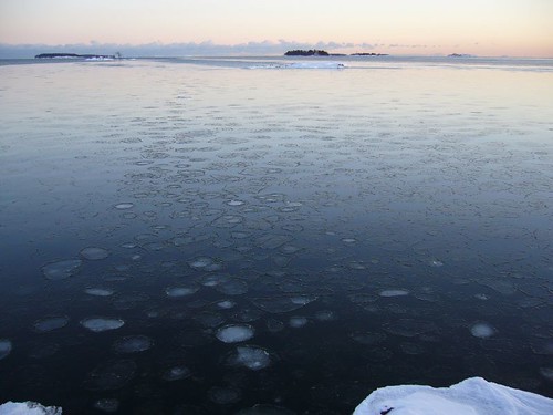 Näkymä Kallvikin niemen kärjestä