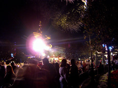 Disneyland in December (45)