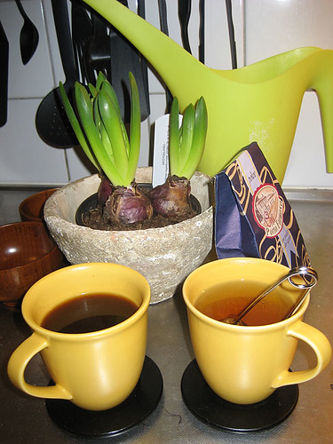 08:41 - uppe tidigt, gör te till mig (från Porto Formoso) och kaffe till Kalle