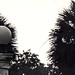 Lamp with Palm Trees, 1970s