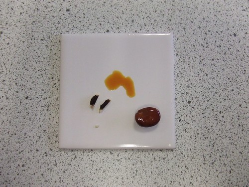 Testing Seeds For Starch