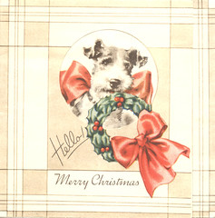Vintage Christmas Card Puppy