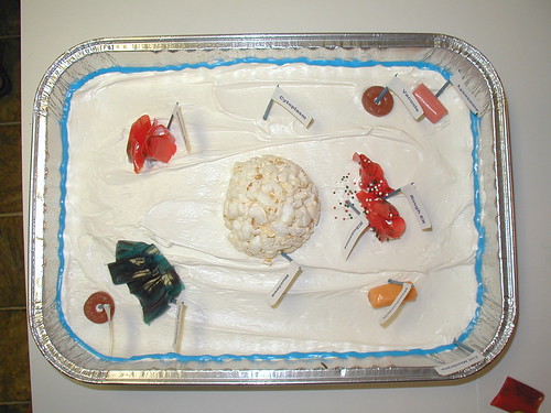 animal cell project pictures. Plant Cell · Animal Cell