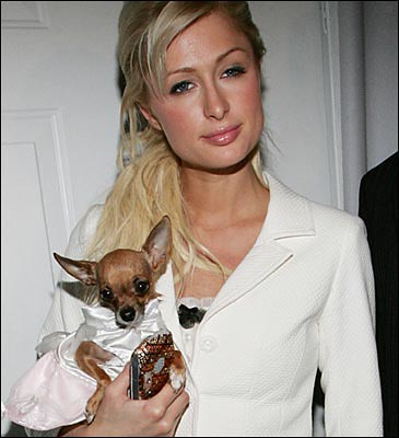 Paris Hilton With Long Hairstyles and Blonde Hair Color