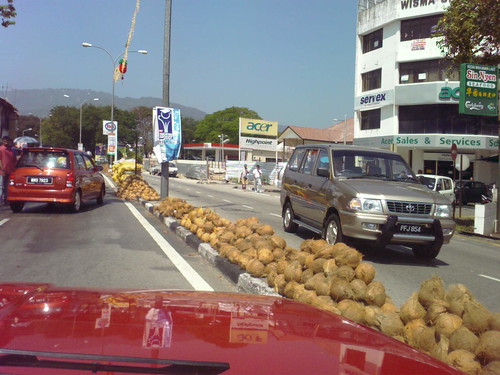 Coconuts for Thaipusam by DrChan.