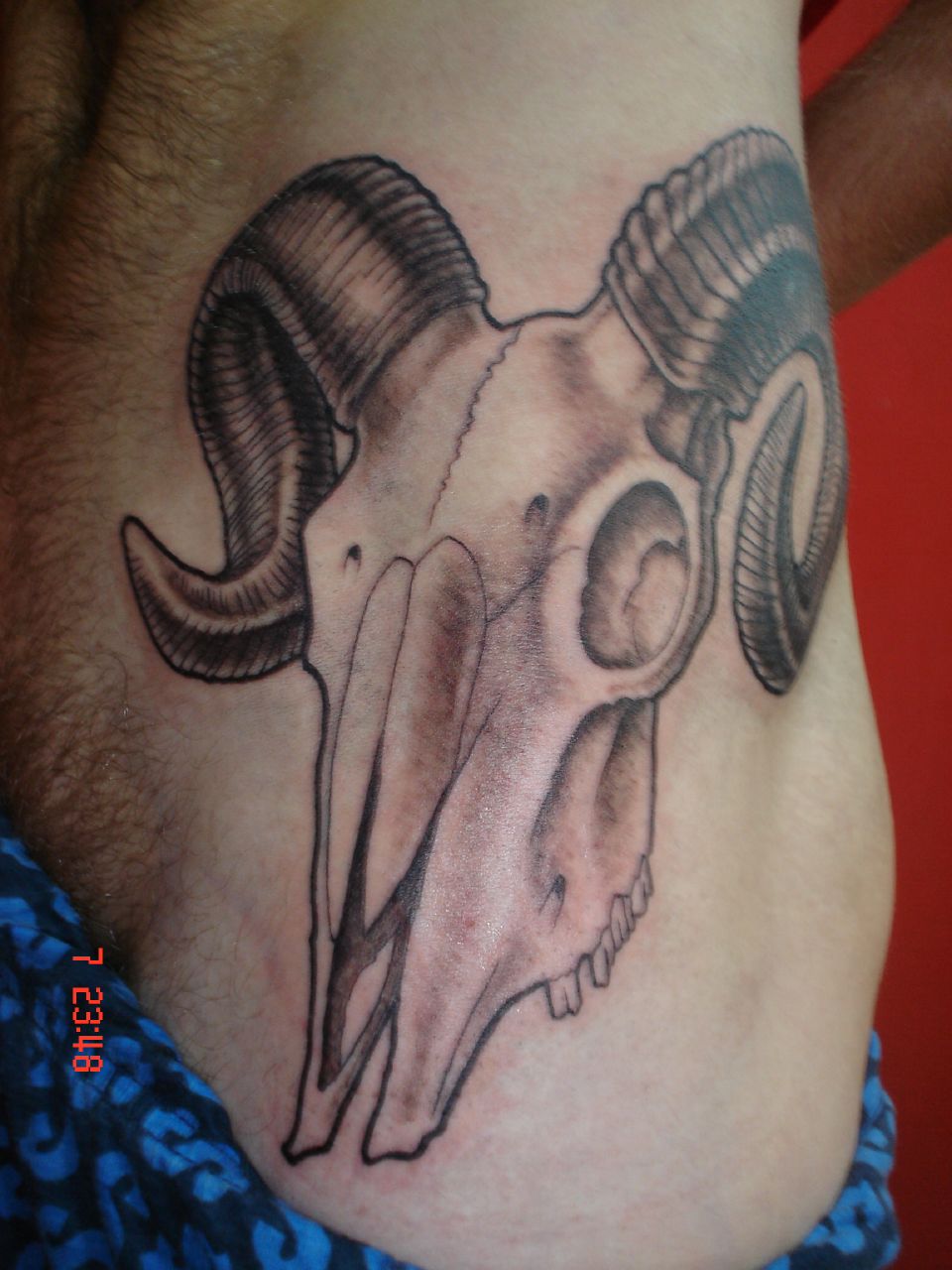 animal sculp tattoo Dejavu