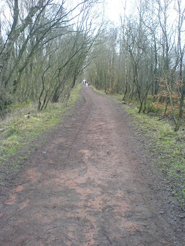 On the raised bog path