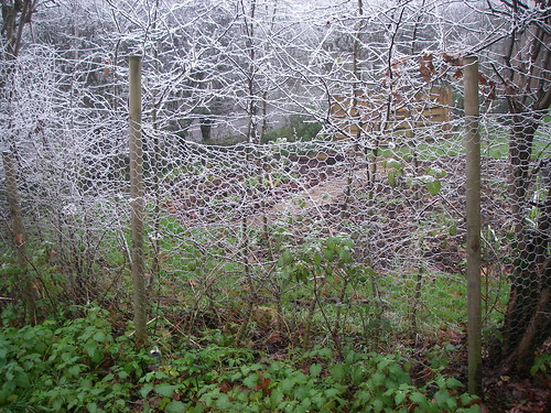 Winter Garden Fence