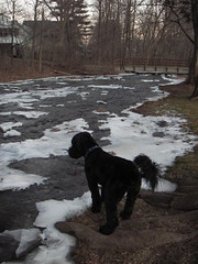 Skip by the icy river