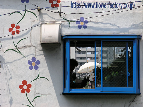 flower factory