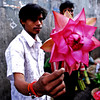 Petals, Toil and Business at Dadarâ€™s Phulgalli [PHOTO 4] - The Lotus
