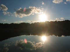 Sunset over a stock pond…