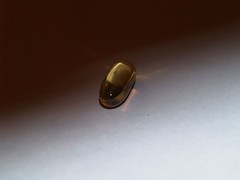 photo of bitter little pill