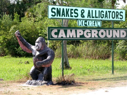 Snakes & Alligators Campground