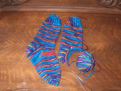 Parrot socks