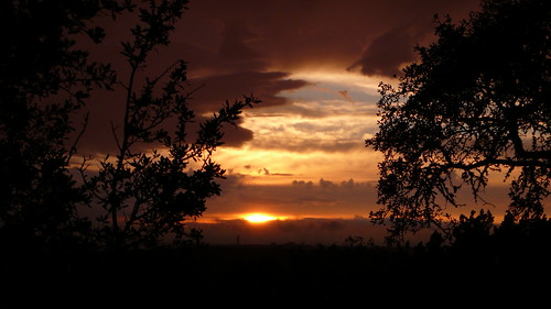 sunset after raining (by bookgrl)