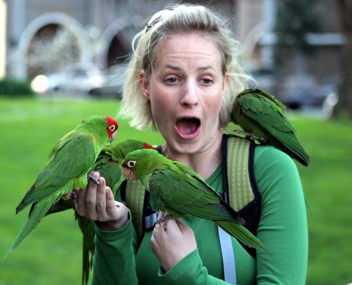 Parrots are full of surprises