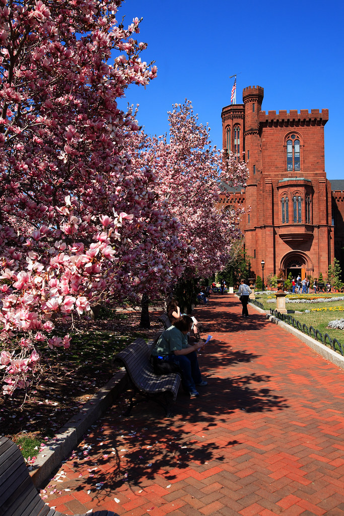 Smithsonian Castle, by ephian, Attribution-Noncommercial-No Derivative Works 2.0 Generic License
