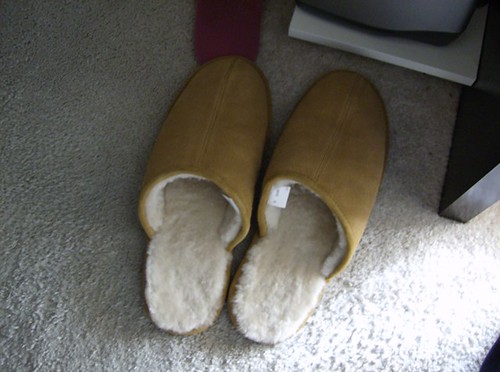 Bootleg Ugg slippers