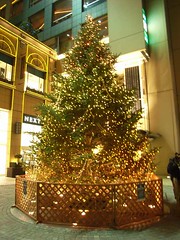 クリスマスツリー（桜木町）