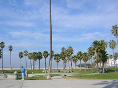 Coastline of Venice Beach