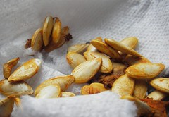 buttercup squash seeds