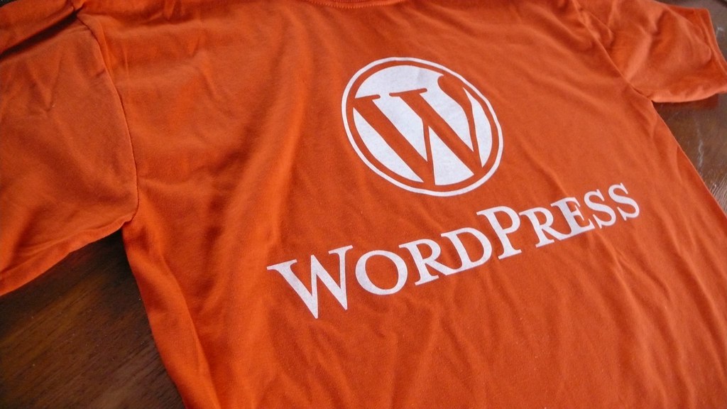 Wordpress? I got the T-shirt