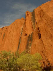 Uluru Is Quite Tall