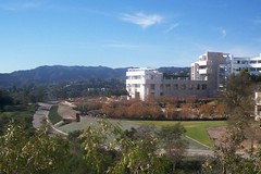 a view of the Getty Institute and gardens