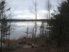 View of the Lake , Muskoka by Princess Lehmann