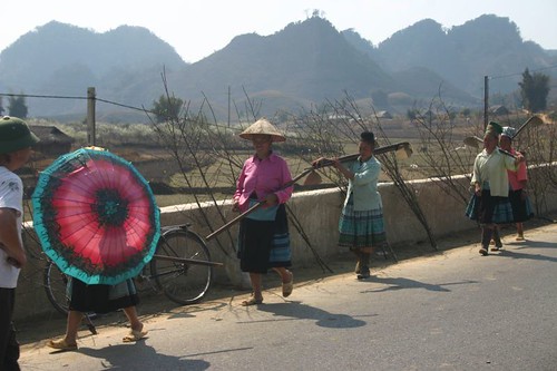 Women on their way home from another day in the rice fields...