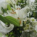 Bouquet of White