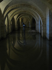 Winchester Cathedral 1