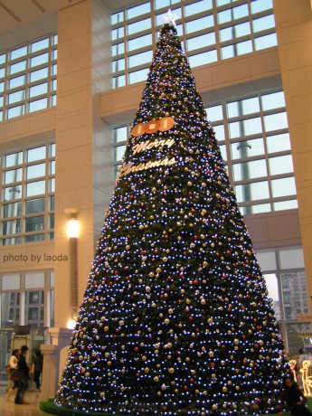 101內的巨大聖誕樹