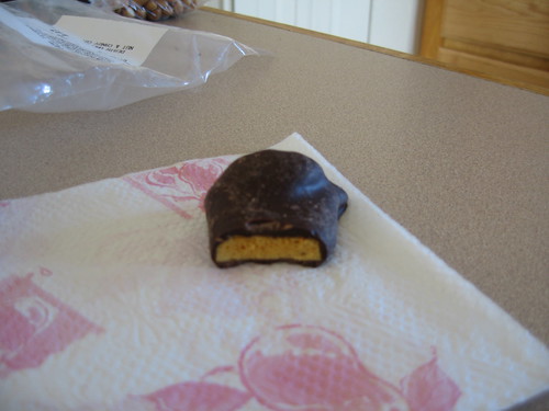 Honeycomb Sponge (Dark Chocolate)