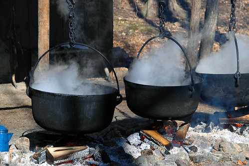 The Maple Syrup Process