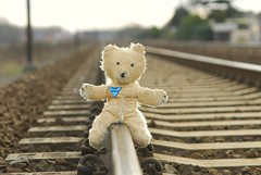 brave Pooh Bear rescues puppy... by stopping the train!