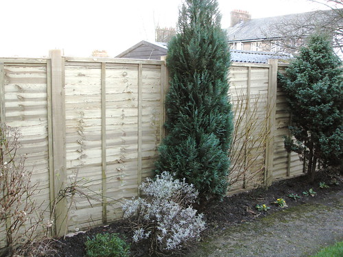 Fence Repaired