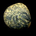 Small Planet 1379