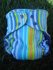 Medium Striped Knit/Velour Fitted Diaper  <br>with Flap-style Quick Dry soaker