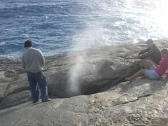 The Blowhole!