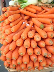 carrots - lots of carrots