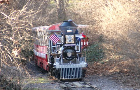 Train, St Louis Zoo