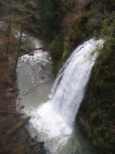 Drift Creek Falls from the bridge