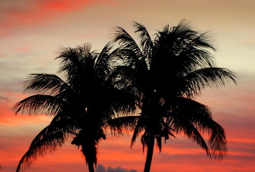 As the sun sets. Miami, Florida