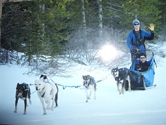 Dog Sledging in Banff 2007 038