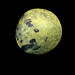 Small Planet 1403