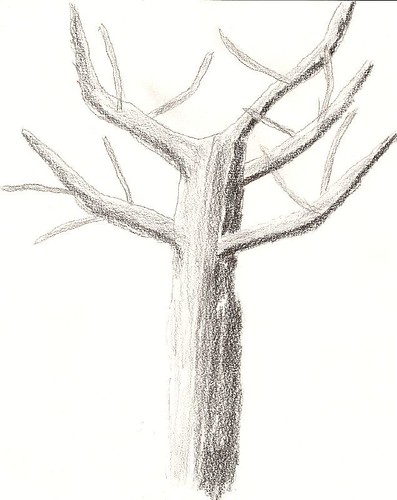 dates tree drawings. It#39;s a drawing not a picture.