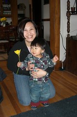 Daffodil for Mommy