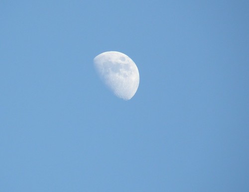 Moon!